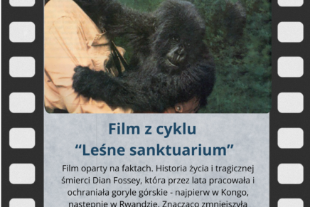 „Leśne sanktuarium”, czyli nowy cykl w spichlerzowym kinie