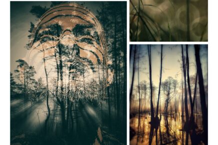 Wieczór poezji Andrzeja Langnera „Refleksy